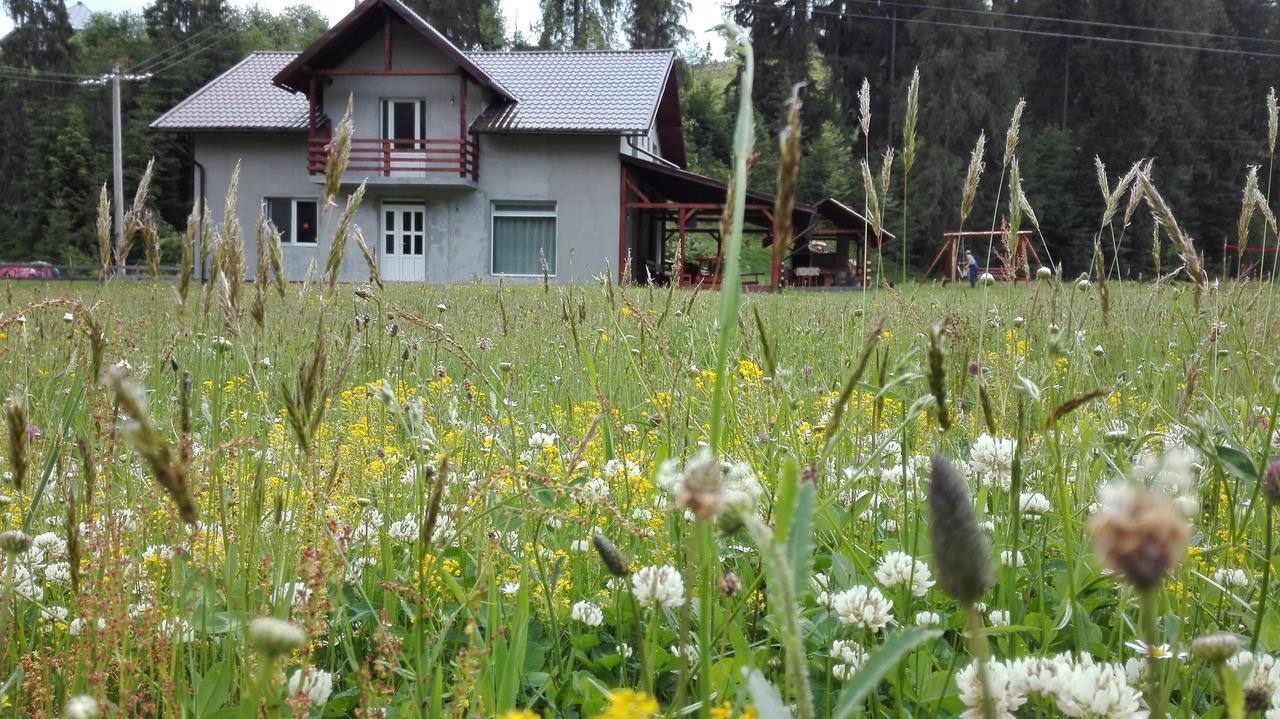 Cabana Georgiana Arieşeni 외부 사진